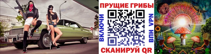 Купить где  Горячий Ключ  Псилоцибиновые грибы Magic Shrooms 